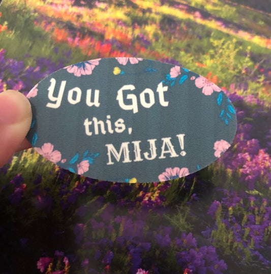 You got this, mija! sticker