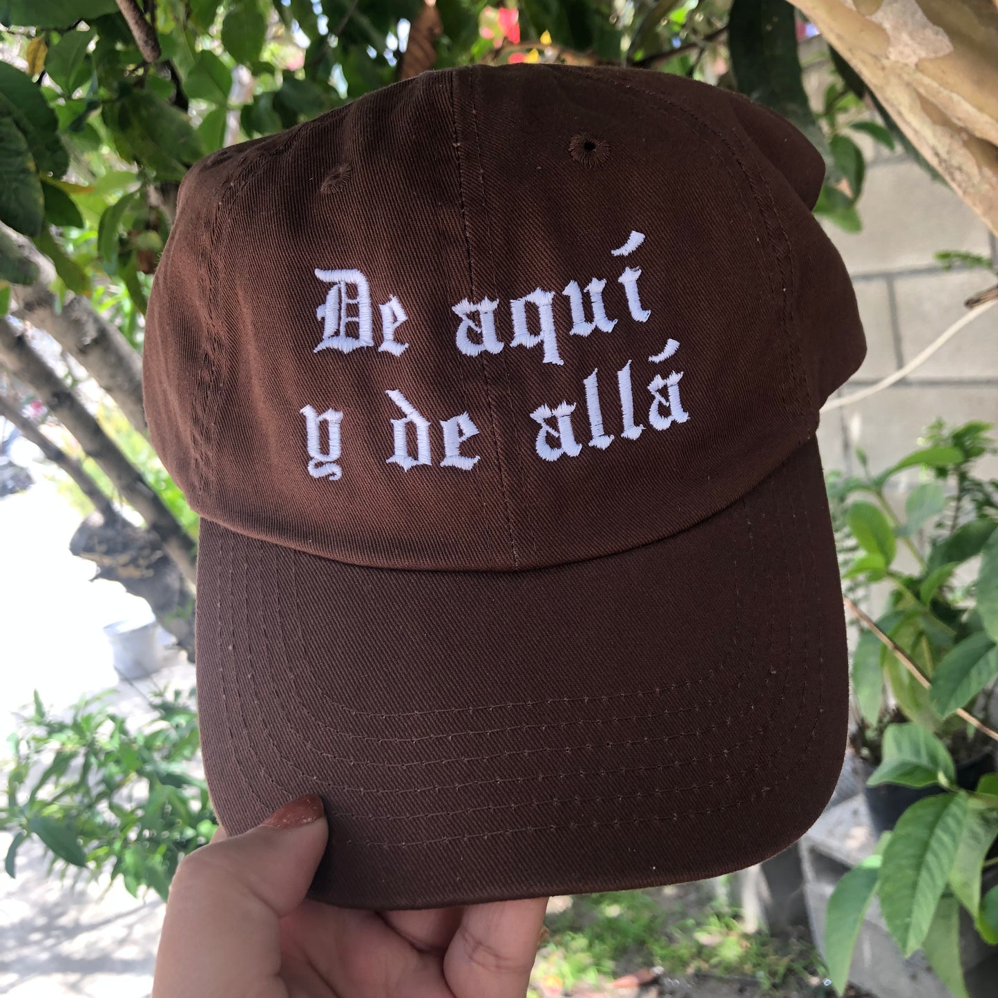 De aquí y de allá cap