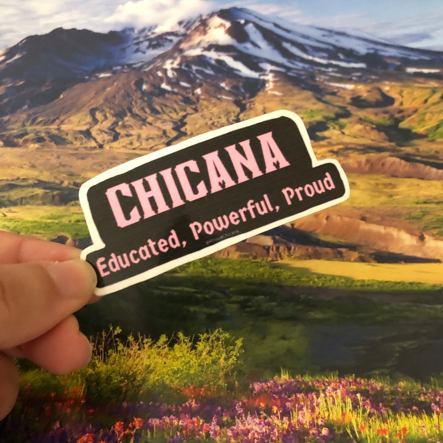 Educated, Powerful, Proud Chicana sticker